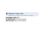 Website Visitor Hits